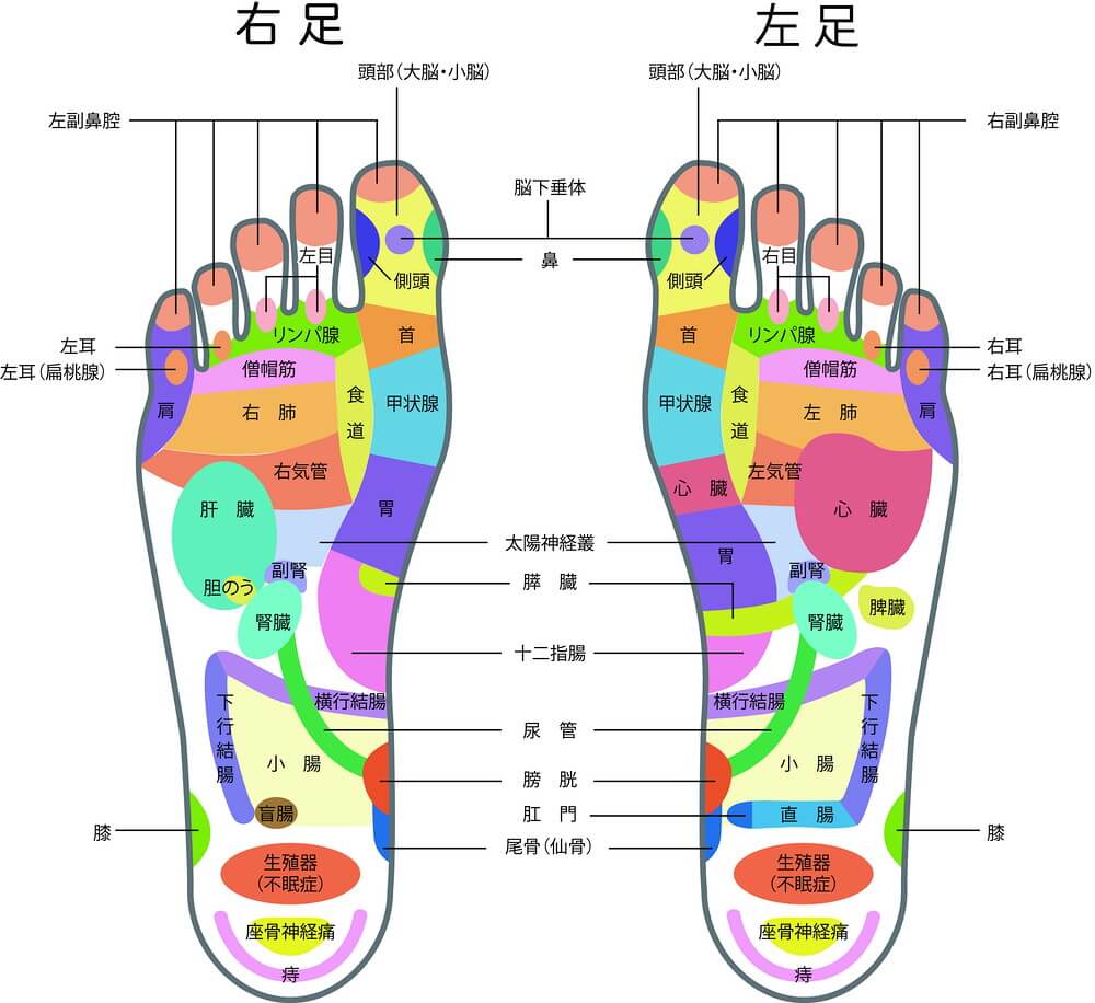 足裏のツボの画像